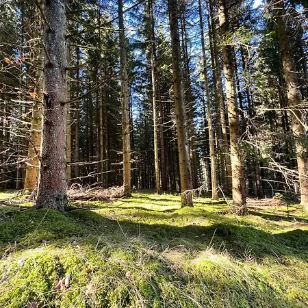 Haus Im Schwarzwald Ferienhaus *