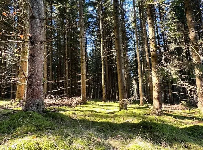 Haus Im Schwarzwald Casa vacanze *